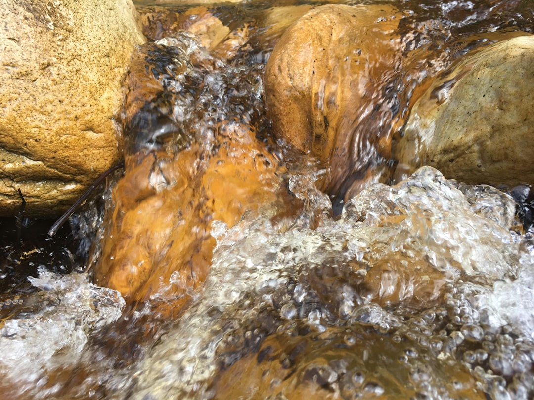 Acidification