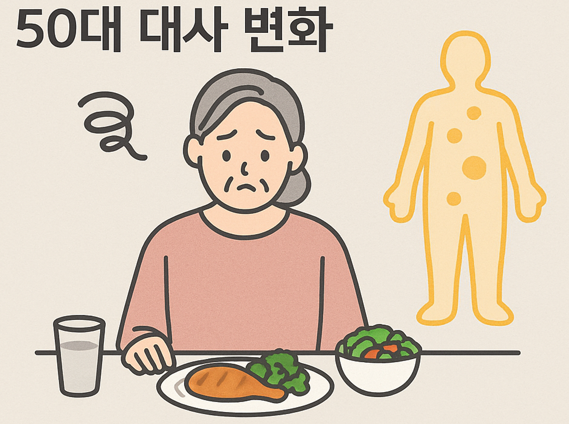 50대 다이어트 저녁식단