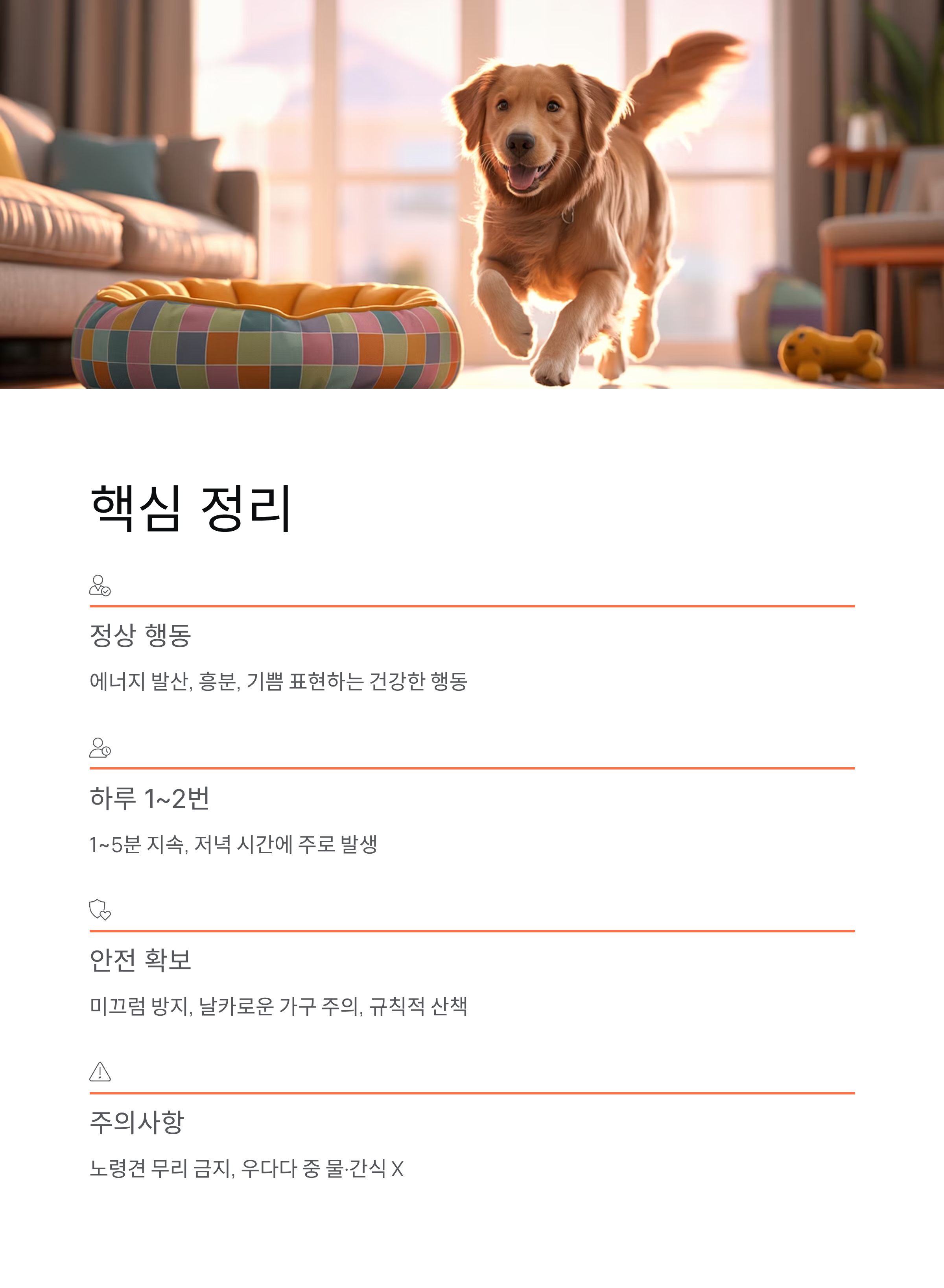 강아지 갑자기 우다다 뛰어다니는 이유? 원인·시간·대처법 총정리