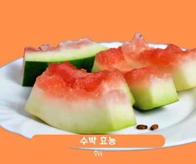 수박 껍질 효능