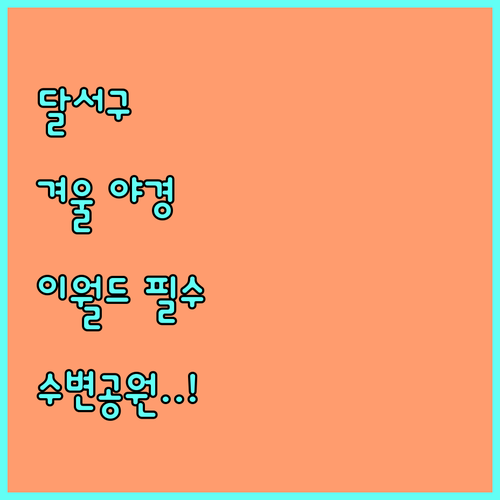 달서구 겨울 야간 데이트 코스 추천 ..