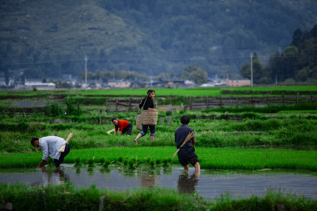 Farmers and fishermen