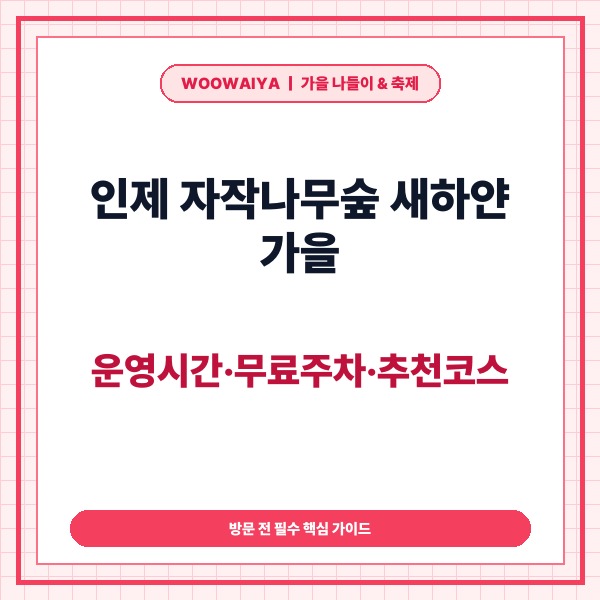 인제 자작나무숲 새하얀 가을 가이드: 운영시간·무료주차·추천코스 총정리