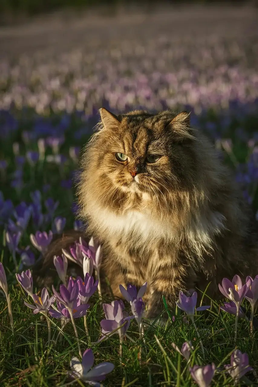 국제통일상품분류제도 계절 상품 분류 원칙
