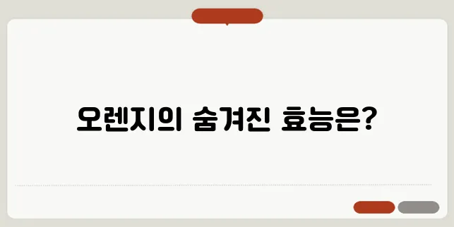 오렌지 효능과 영양 성분 면역력 강화와 피부 미용에 좋은 과일