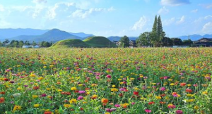 인기감성숙소 BEST 7곳