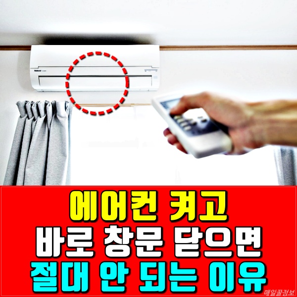 에어컨 창문, 레지오넬라 폐렴 증상, 냉방병, 건강, 매일꿀정보