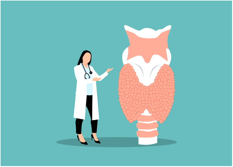 부갑상샘기능항진증, 우리 몸의 칼슘 균형을 무너뜨리는 질환