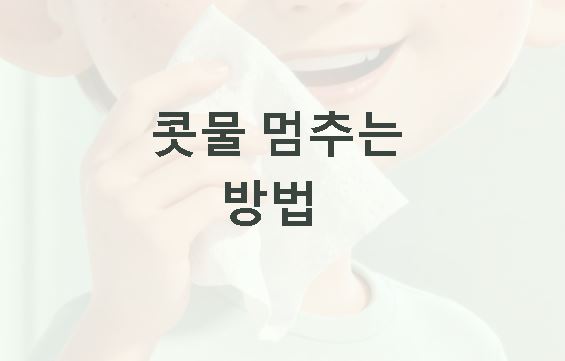 콧물 멈추는 방법