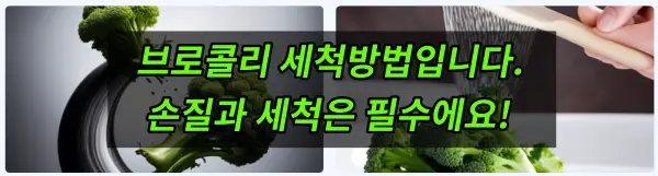브로콜리 세척법
