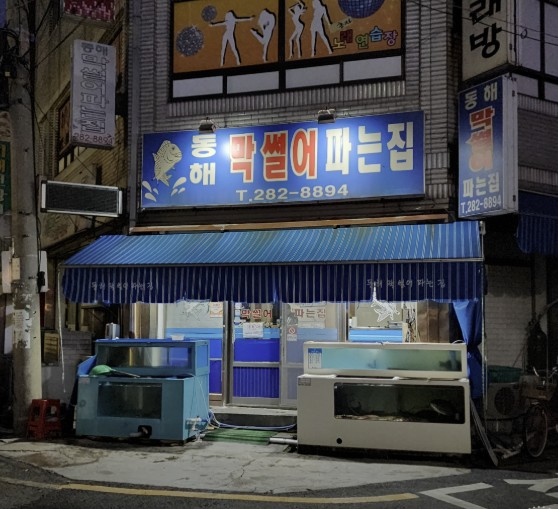 포항 대방어회 맛집 &amp;#124; 6시 내고향 방송 나온 &amp;lt;동해 막썰어파는집&amp;gt; 