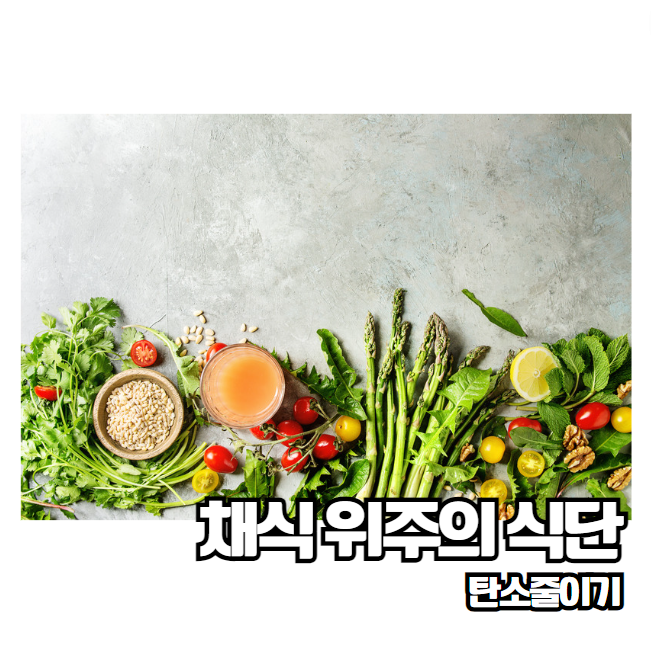 탄소 발자국 줄이는 방법 지구를 지키는 작은 실천 자연사랑 지구온난화 기후변화 문제 해결