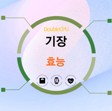 기장 효능 탐구