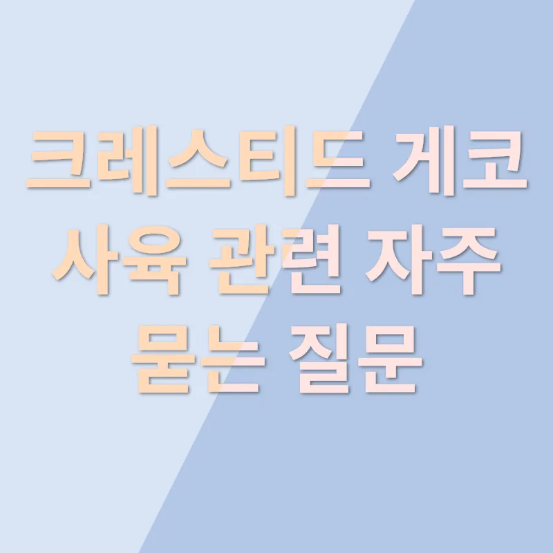 크레스티드 게코 사육_4