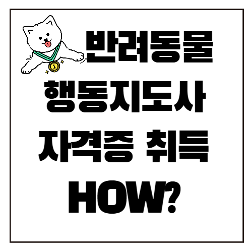 반려동물행동지도사란? 자격, 역할, 전망까지 완벽 정리!