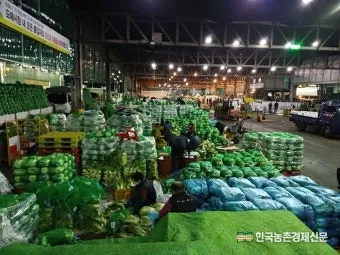 가락동 농산물 경매시세 실시간 확인 완벽 농산물 정보_11
