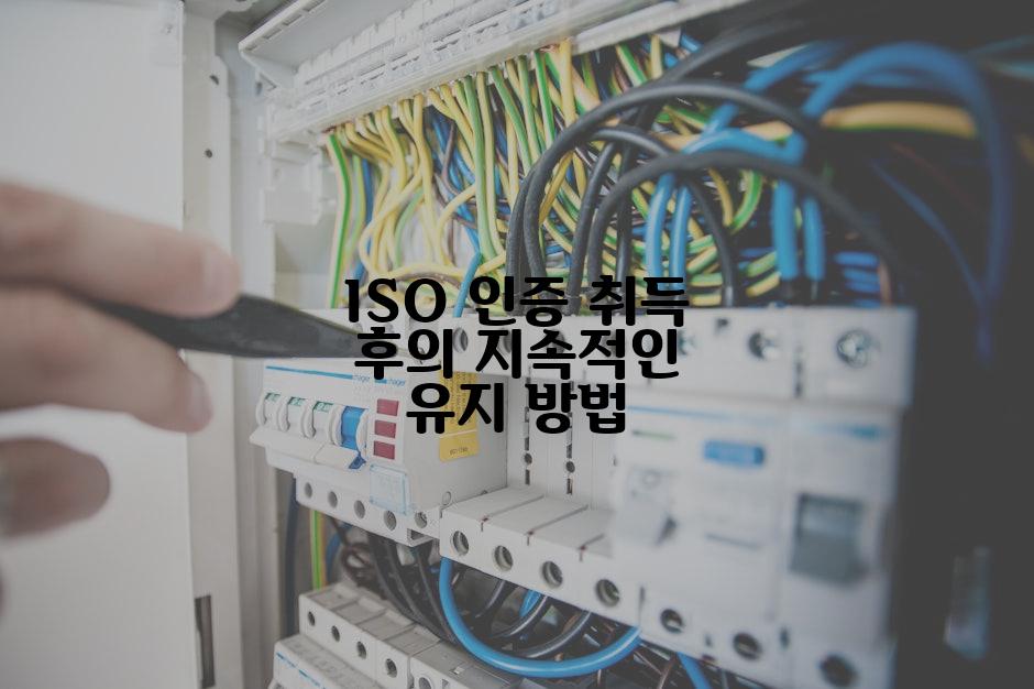 ISO 인증 취득 후의 지속적인 유지 방법