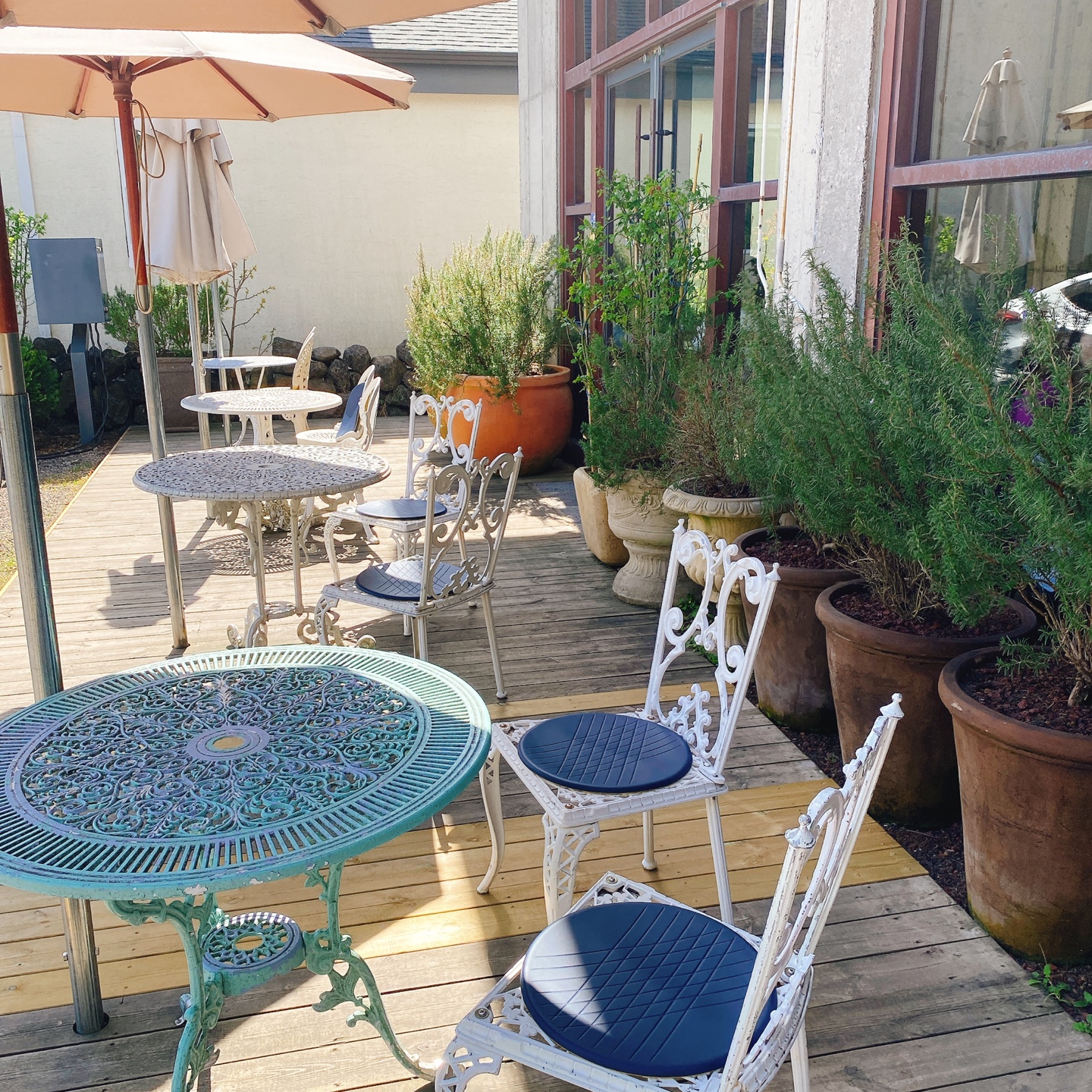 제주 조천 와흘메밀마을 하겐다즈아몬드아포가토 트라인커피 조천카페