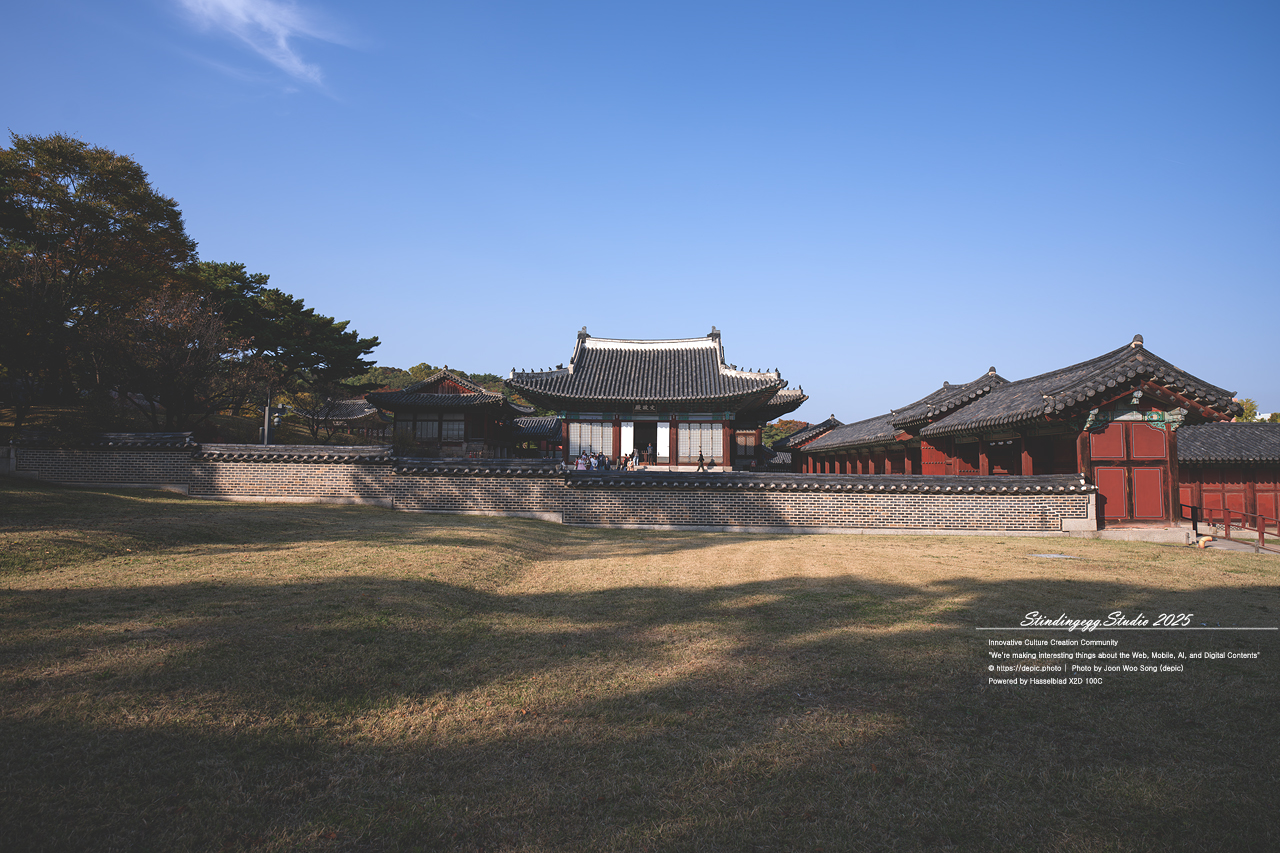 #서울 #창경궁 #궁궐 #조선 #왕