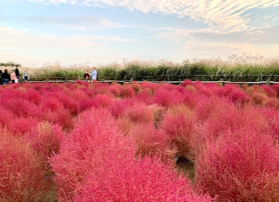 서울 해돋이 명소 추천