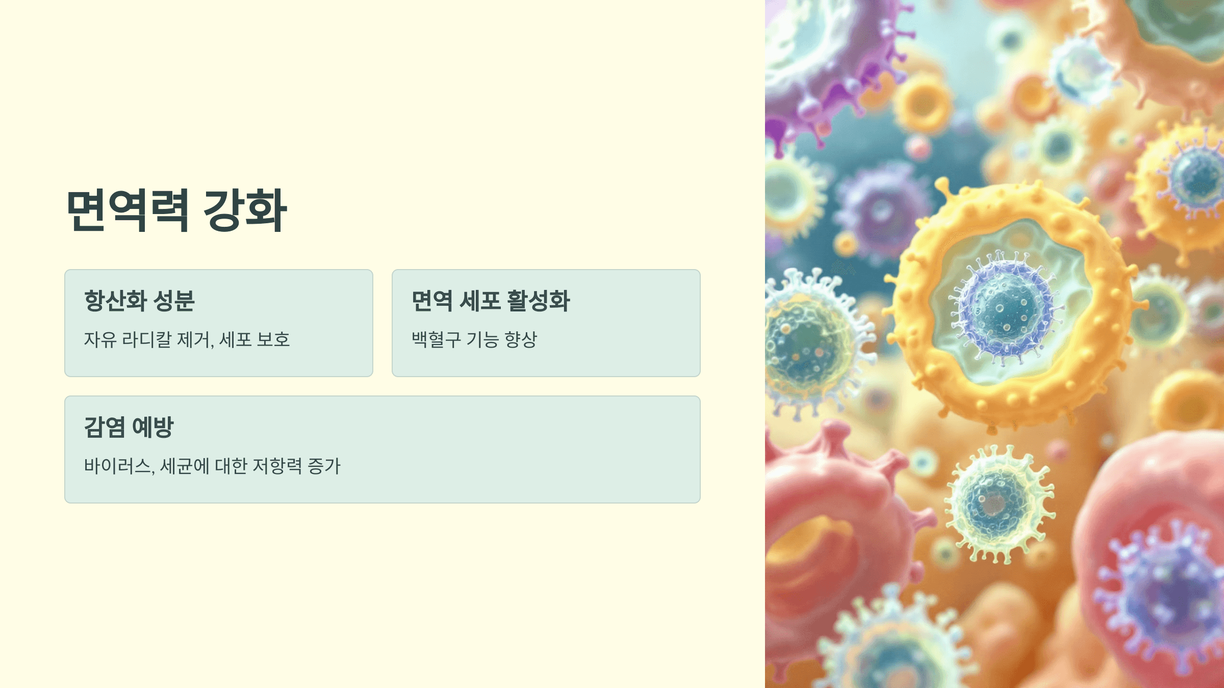 메밀차 사진입니다.