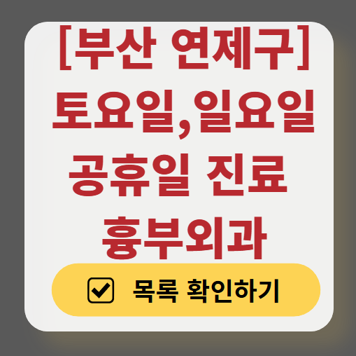 부산 연제구 주말 토요일 일요일 흉부외과 진료 병원 목록 ❘ 공휴일 진료 영업 병원 리스트 찾기
