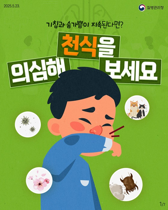 천식이란? 증상과 원인, 치료, 천식에 좋은 음식