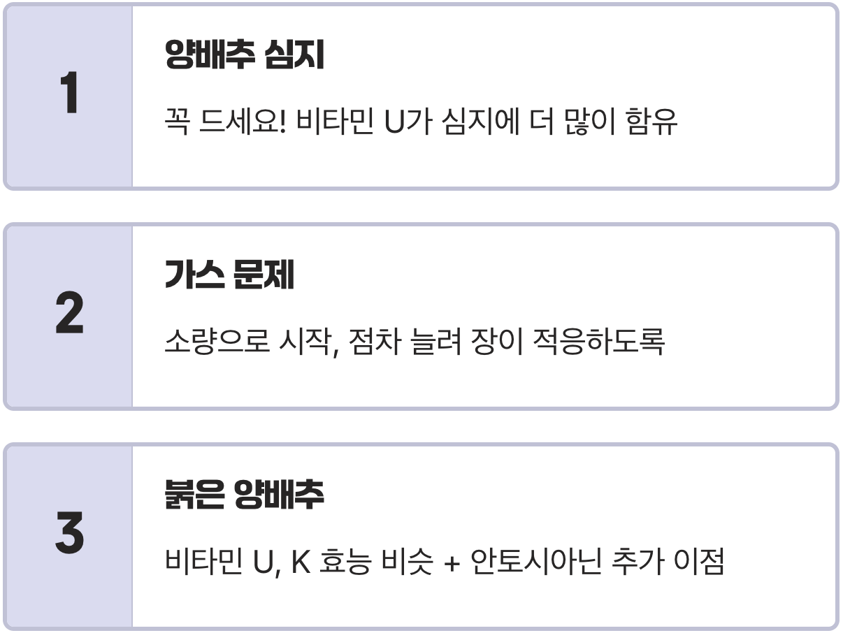 위 건강 지킴이 양배추, '이 비타민' 때문에 위염에 특효