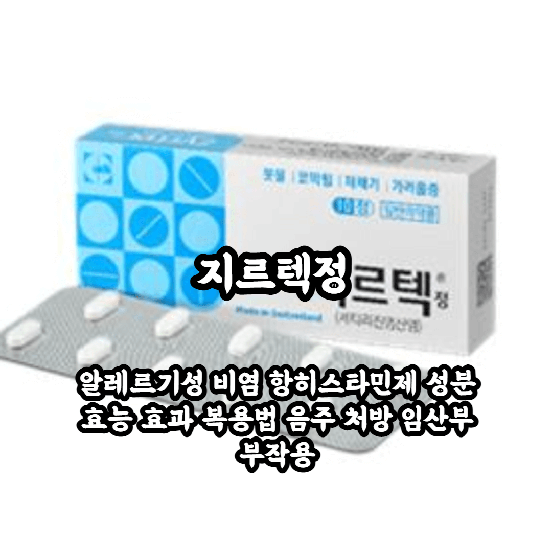 지르텍정 블로그 썸네일