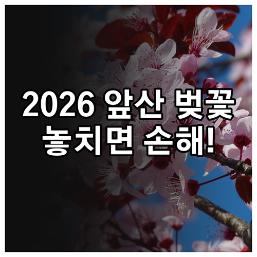 2026년 대구 남구 벚꽃 만개 시기..