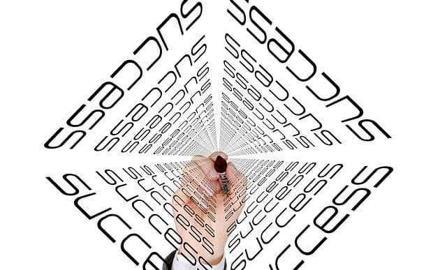 경영학-적응적 전략