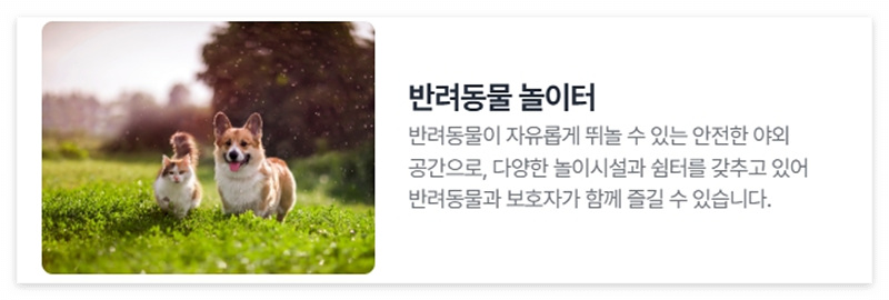 반려동물 캠핑장