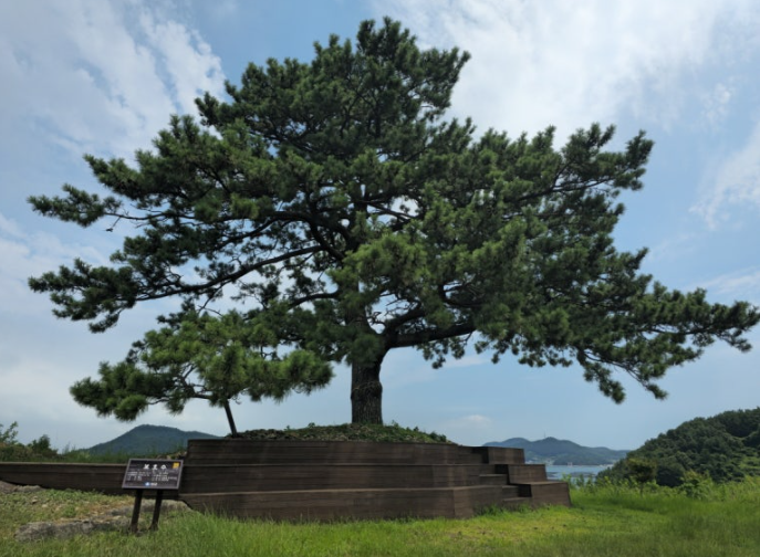 생일송