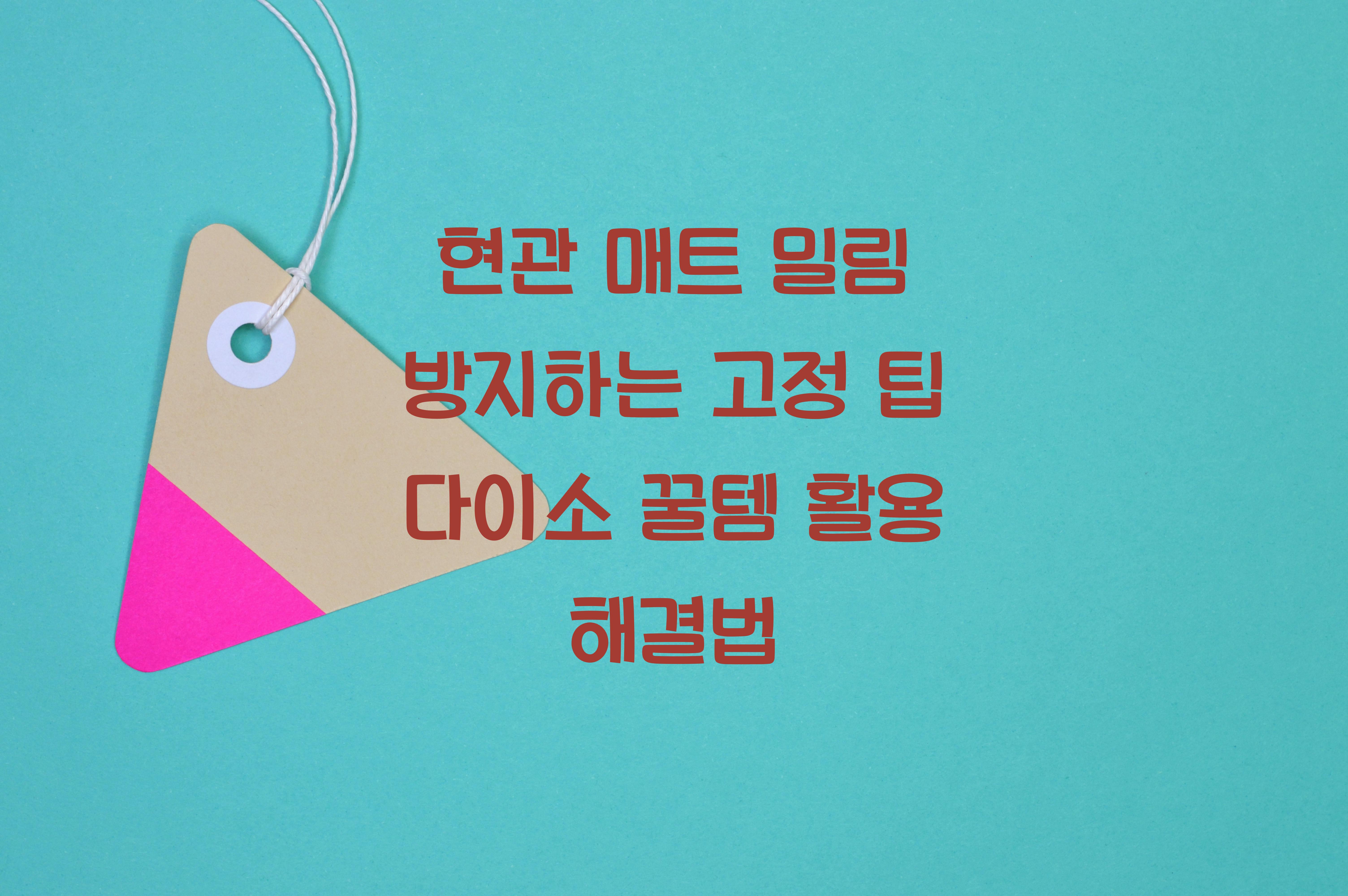 현관 매트 밀림 방지하는 고정 팁