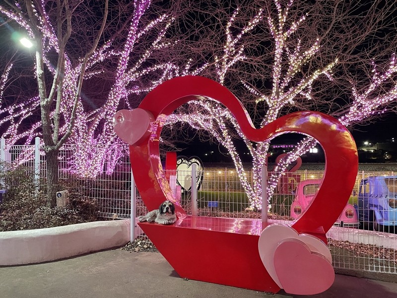 청도 프로방스 빛축제