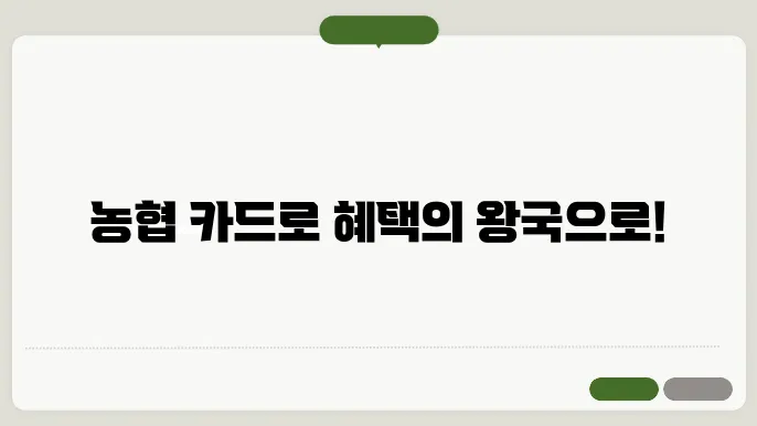 농협 카드 신청