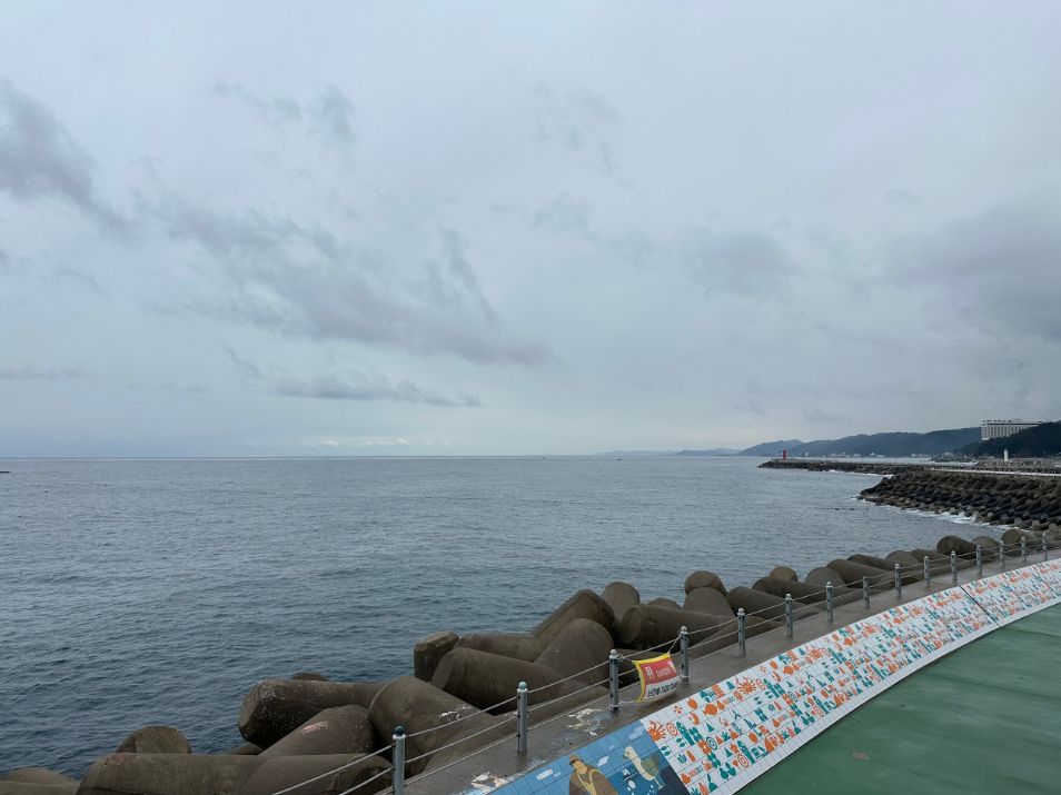 강구항