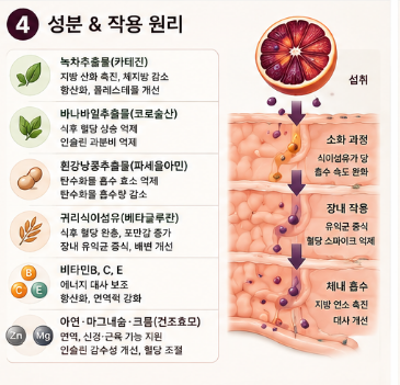 모로오렌지-추출물-효능-효과-내돈내산-추천-제품