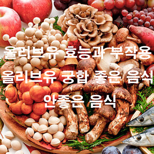 올리브유 효능과 부작용 올리브유 궁합 좋은 음식 안좋은 음식