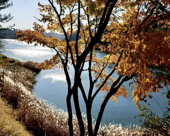 청남대 홈페이지 예약 접수_24