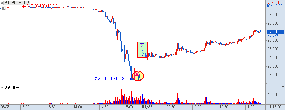 카나리아바이오 분봉 차트