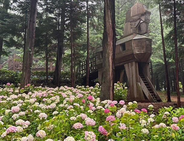 우드랜드(1)