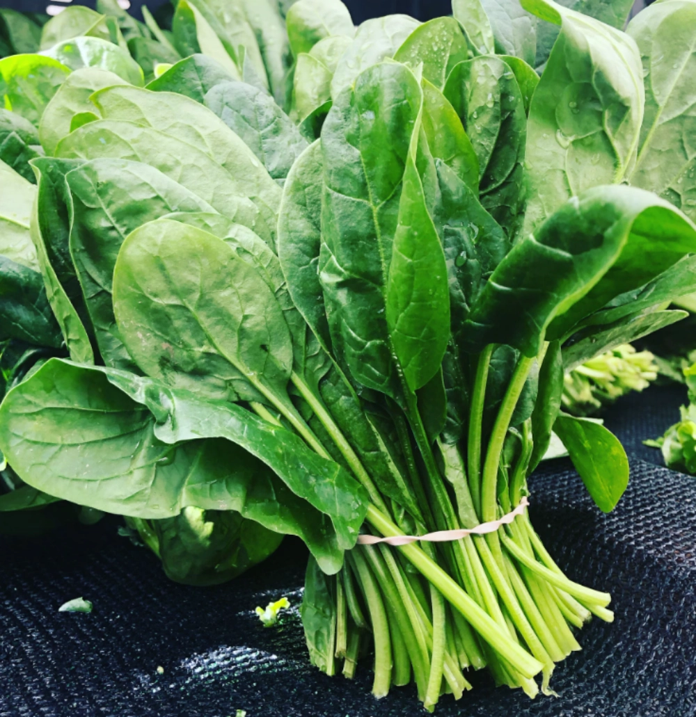 황반변성에 좋은 음식