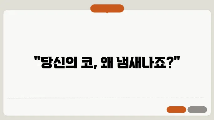 코에서 냄새나는 이유 이것 때문
