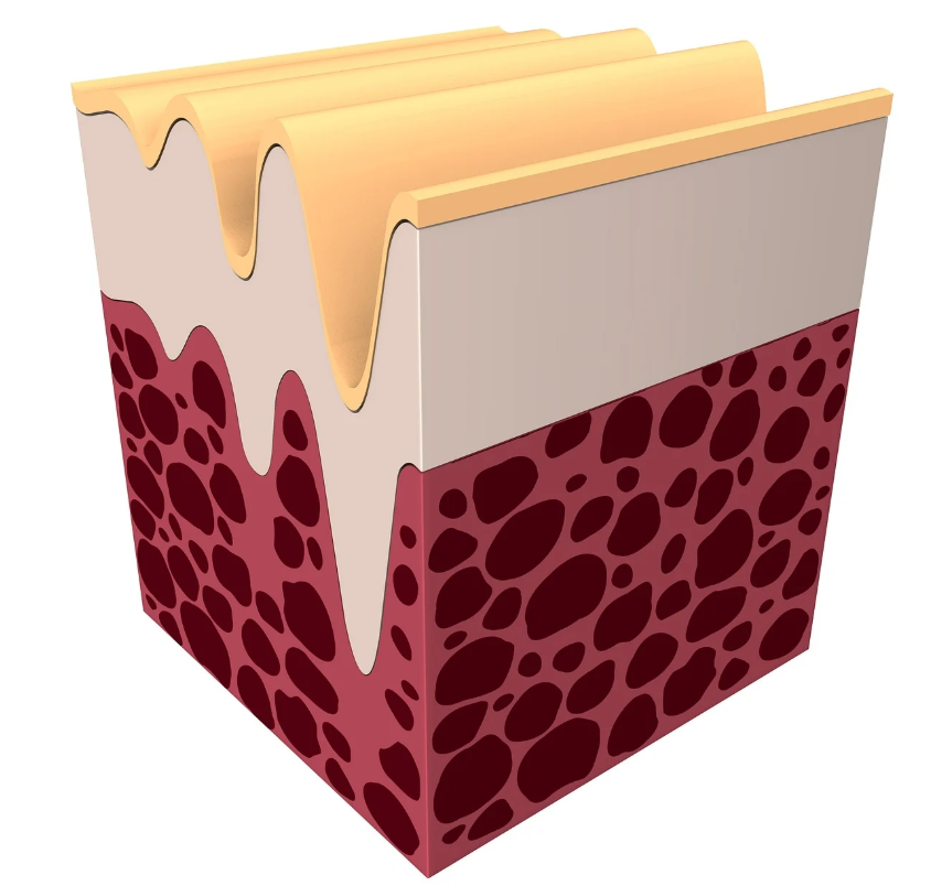 스킨부스터 계열과의 차별성 – 물광주사·필러·PRP와 비교한 최신 치료 경쟁력