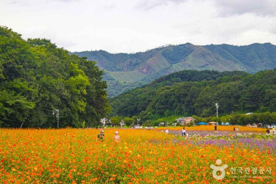 함양 가볼만한곳 베스트 10