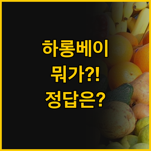 하롱베이 크루즈 그랜드 파이어니어스 ..