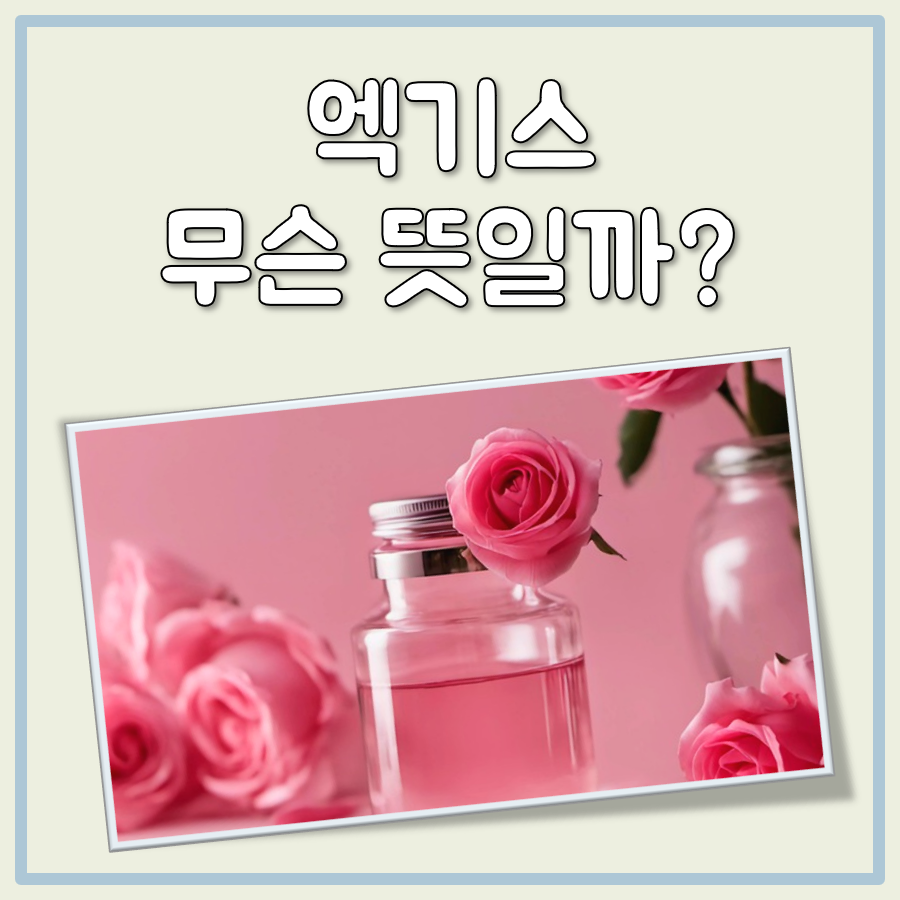 엑기스 뜻 대표 이미지