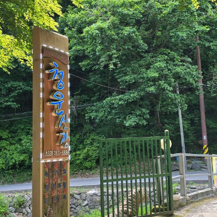 치악산 자연휴양림5