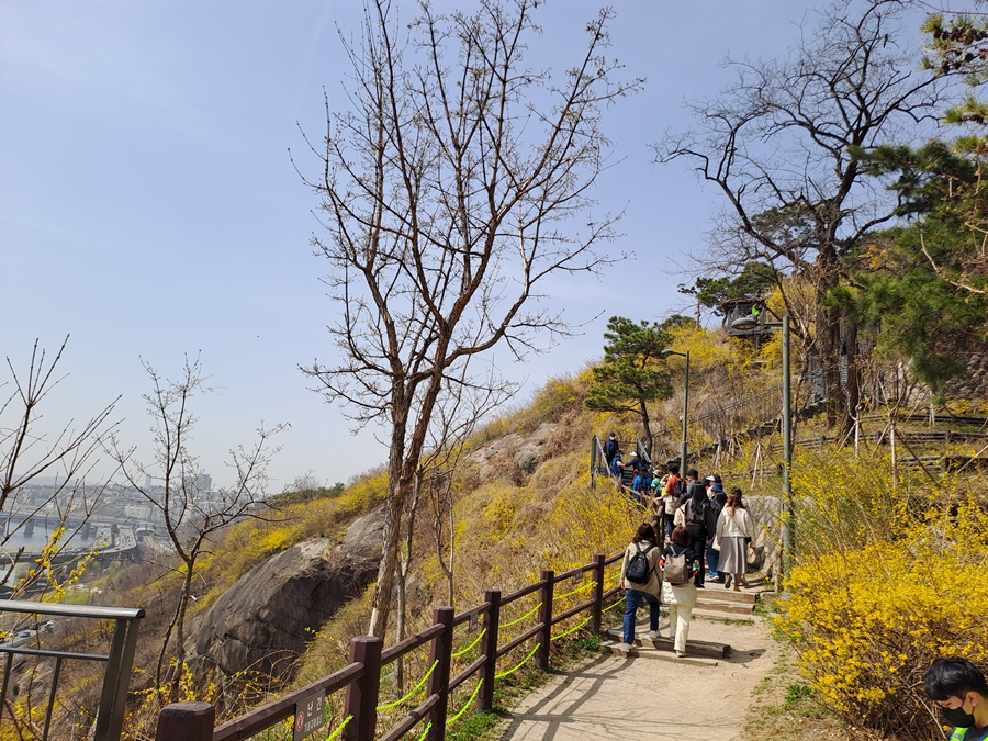 응봉숲길-02